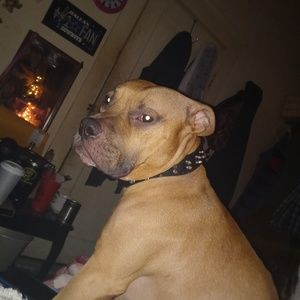 Meet your Posher, Robin